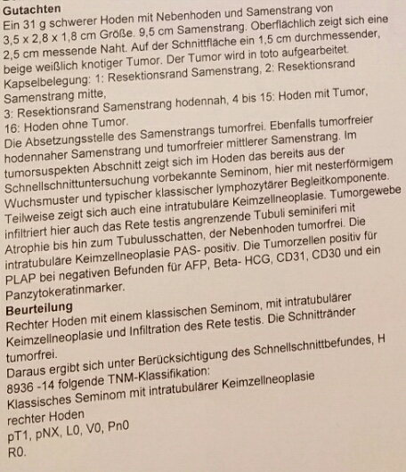 Patologie.jpg