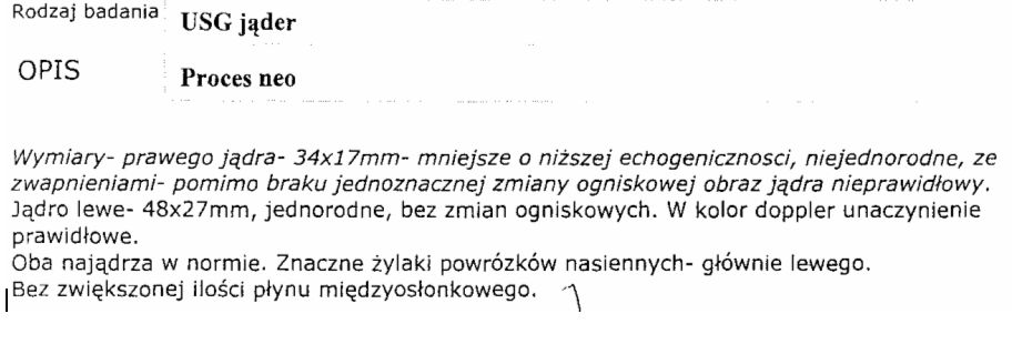 szz2128 usg jąder.jpg