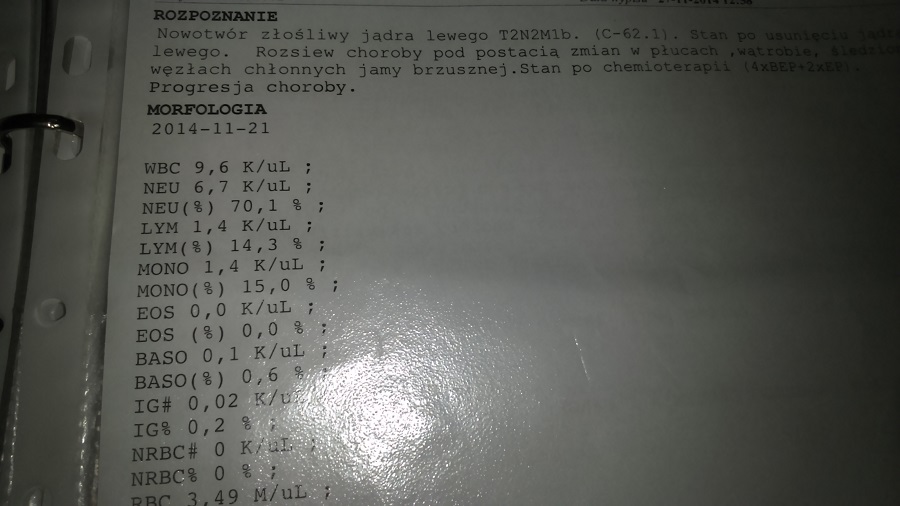 11.JPG