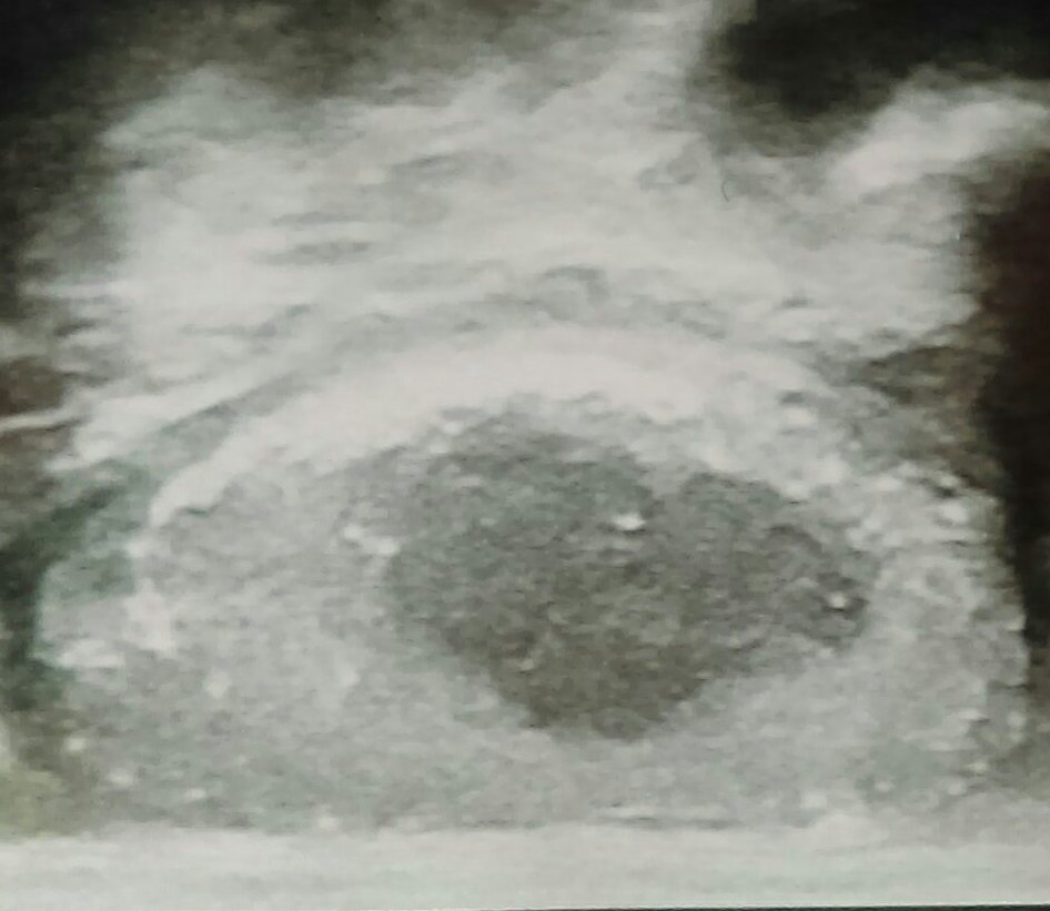 IMAG2106_1_1.jpg