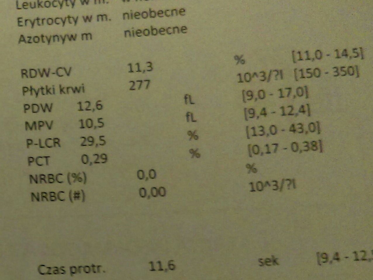 IMAG2119_1_1_1_2.jpg