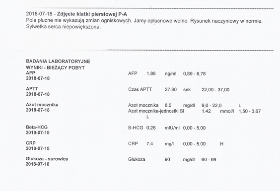 Image-05.jpg