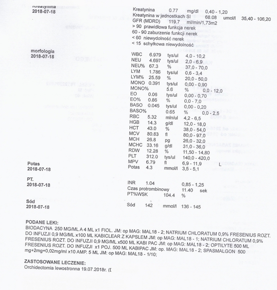 Image-06.jpg
