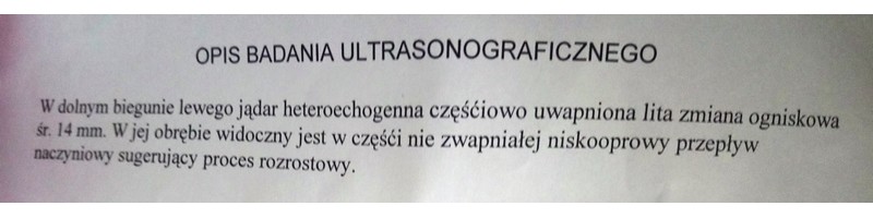 wyniki.jpg