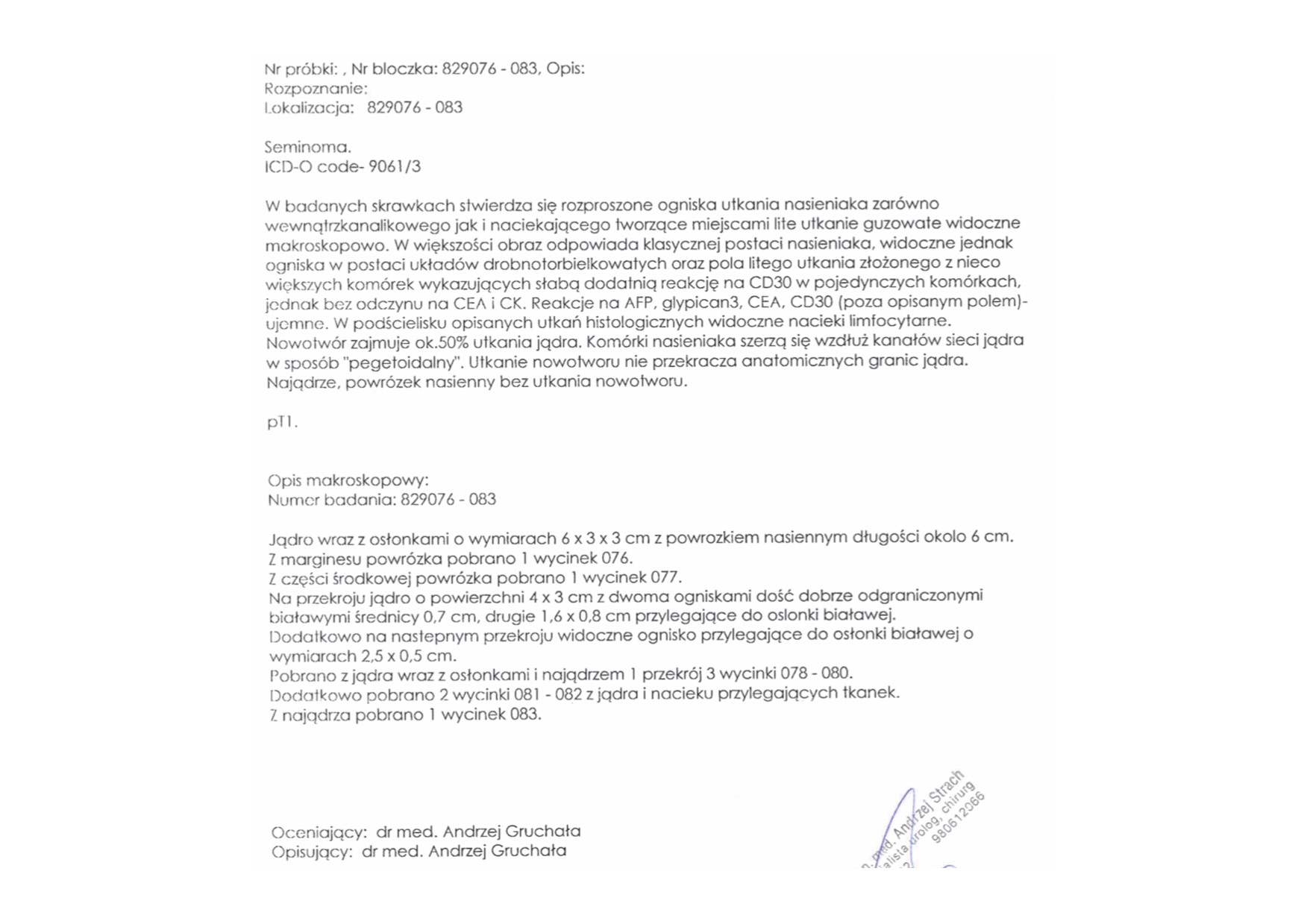 hispat-2019.jpg